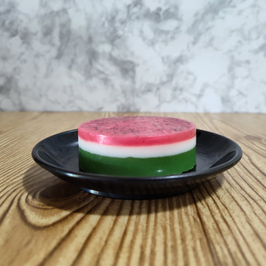 Watermelon Slice Soap